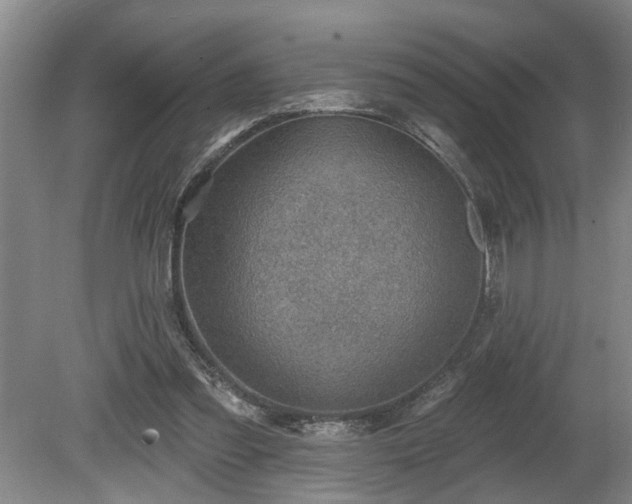 X0000080720301200612221234