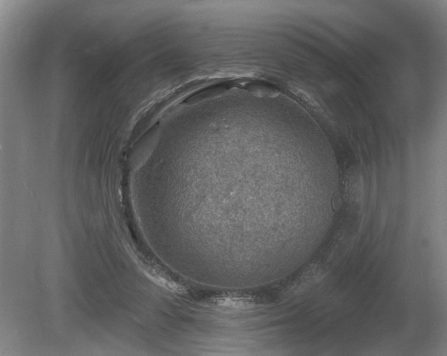 X0000080720303200612221234