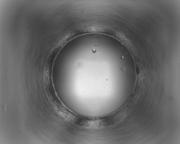 X0000080720306200612221234