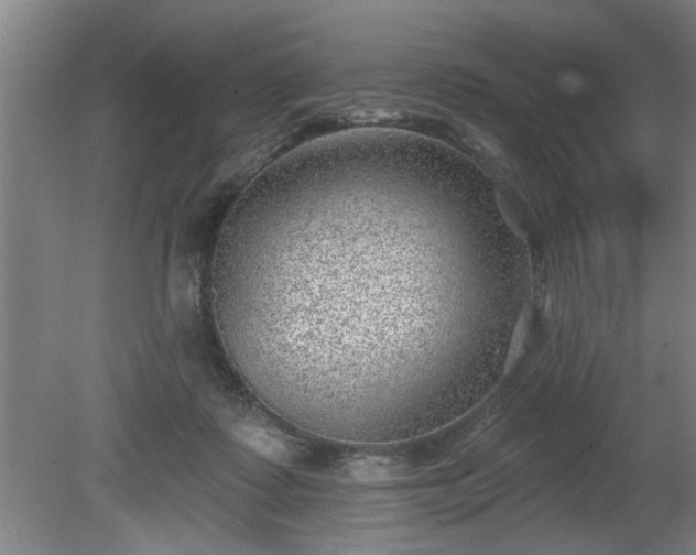 X0000080720315200612221234