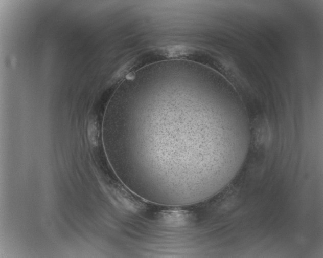 X0000080720316200612221234