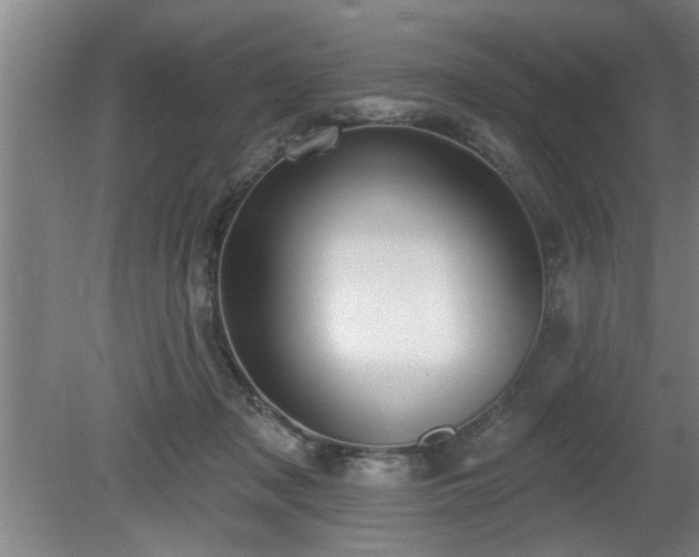 X0000080720317200612221234