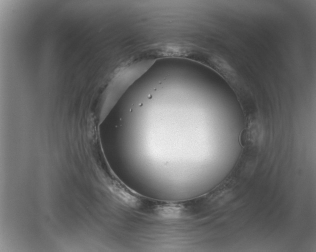 X0000080720318200612221234