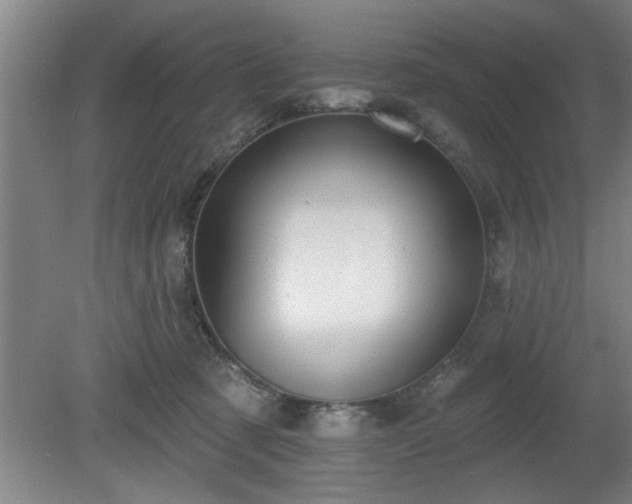 X0000080720321200612221234