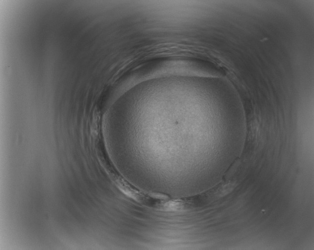 X0000080720325200612221234