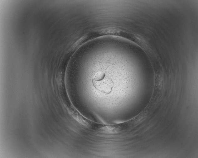 X0000080720326200612221233