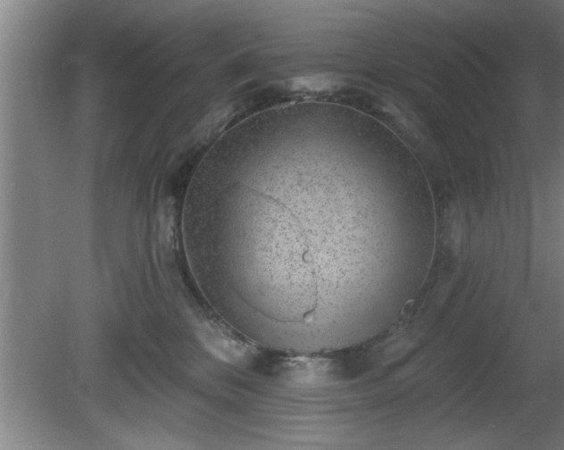 X0000080720328200612221233