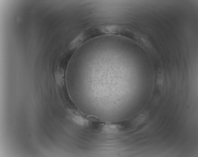 X0000080720332200612221233