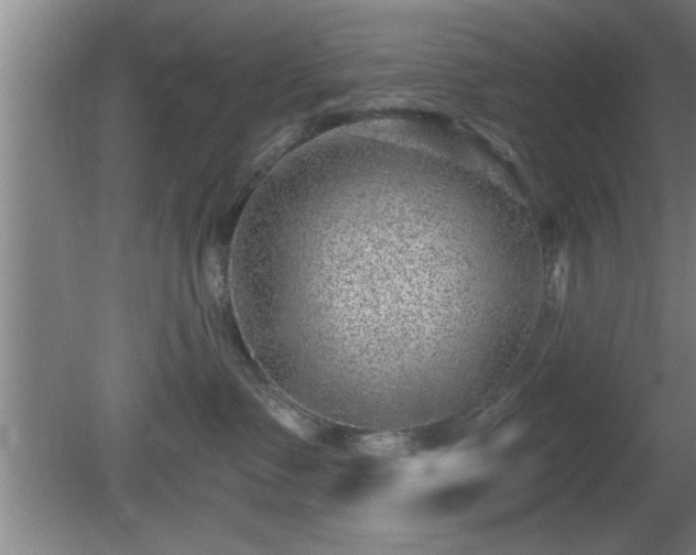 X0000080720335200612221233