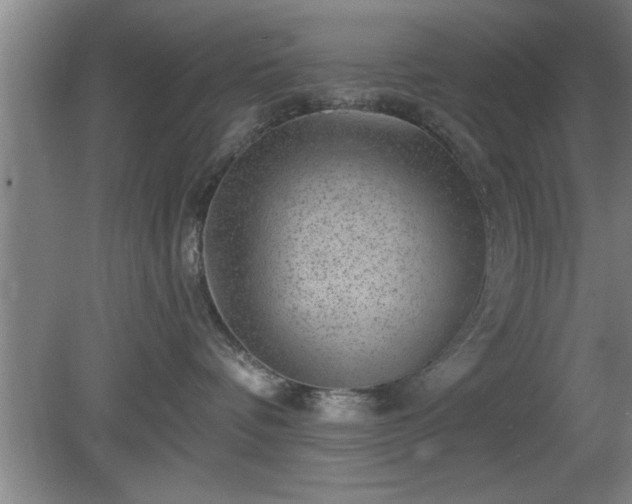 X0000080720336200612221233