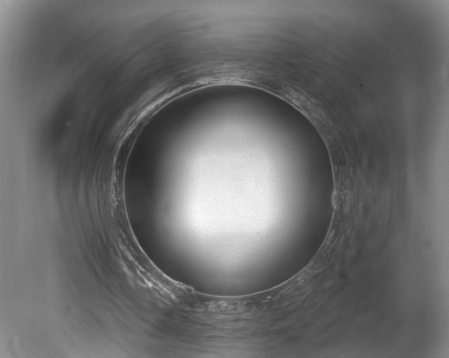 X0000080720338200612221233