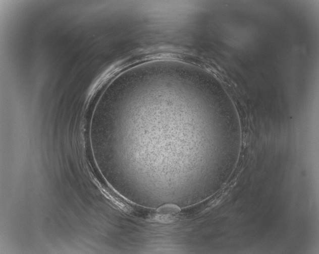 X0000080720341200612221233