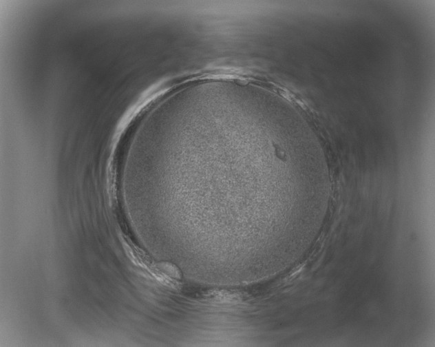 X0000080720343200612221233