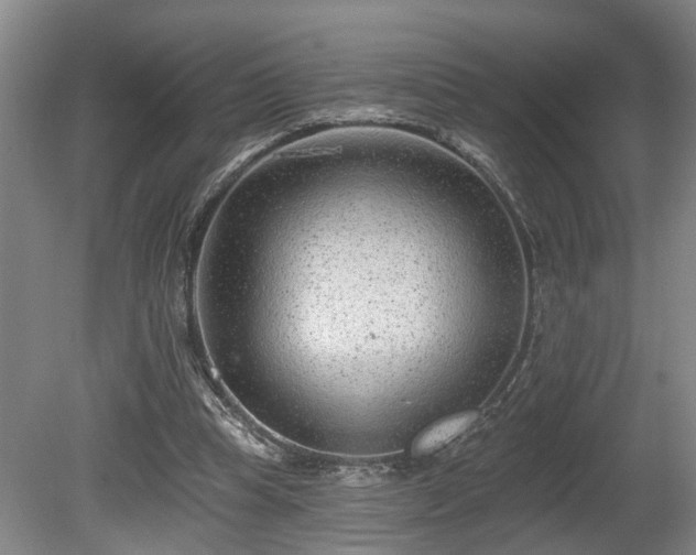 X0000080720345200612221233