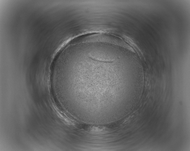 X0000080720346200612221233