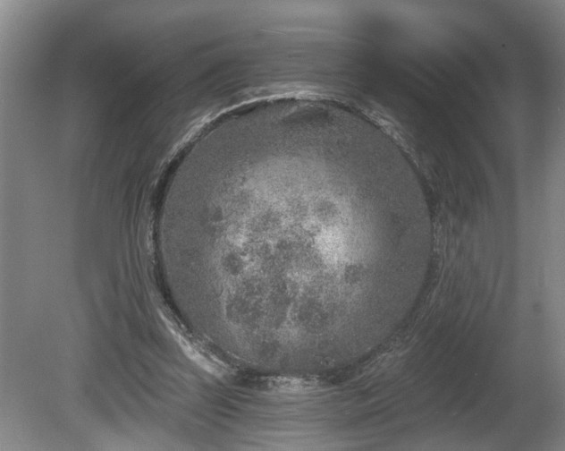 X0000080720347200612221233