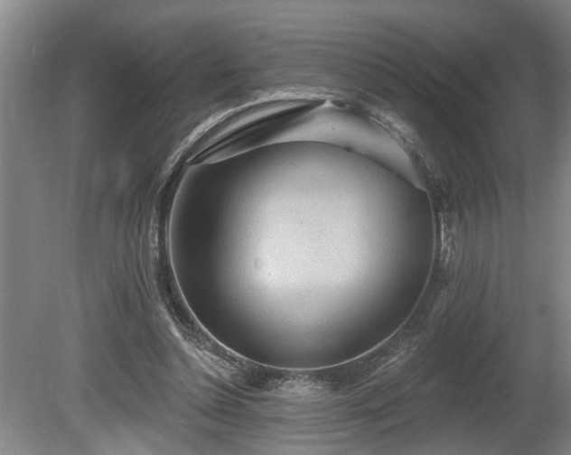 X0000080720348200612221233