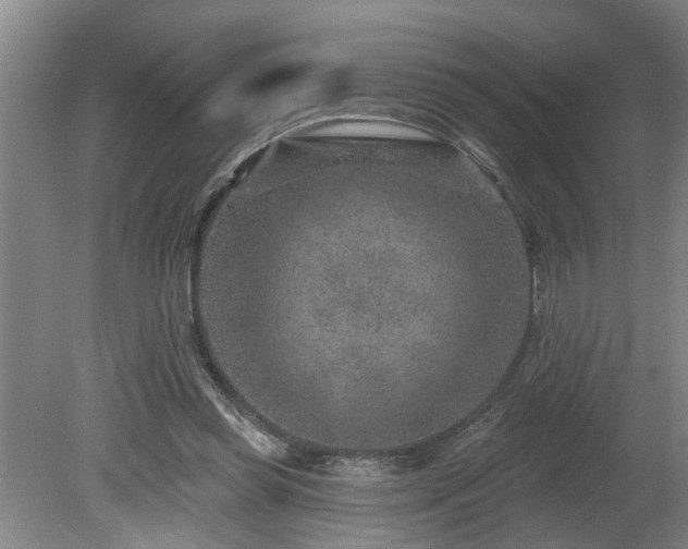 X0000080720349200612221233