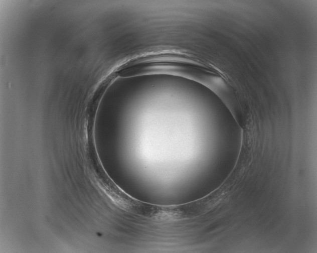 X0000080720350200612221233