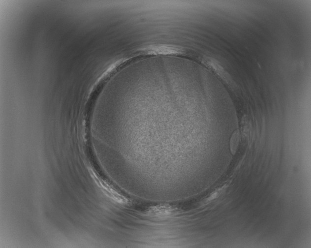 X0000080720351200612221233