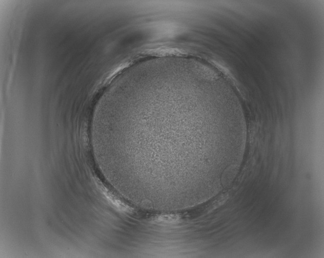 X0000080720353200612221233