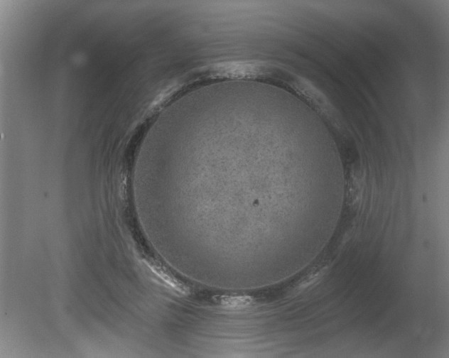 X0000080720355200612221233