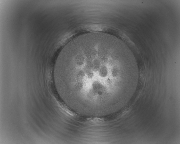 X0000080720359200612221233