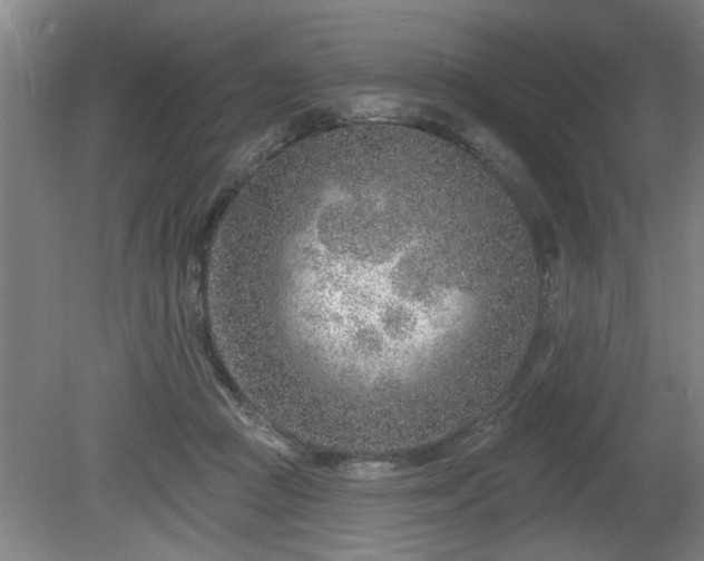 X0000080720361200612221233