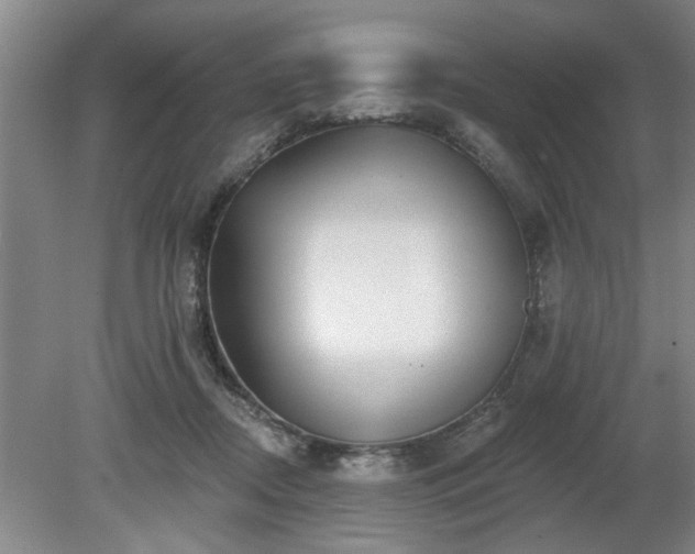 X0000080720362200612221233