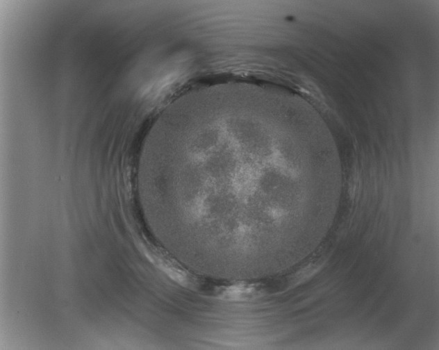 X0000080720366200612221233