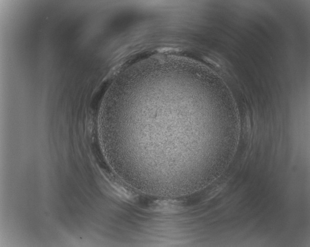 X0000080720367200612221233