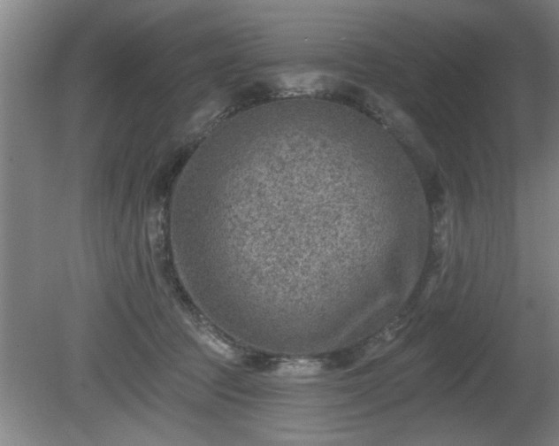 X0000080720369200612221233