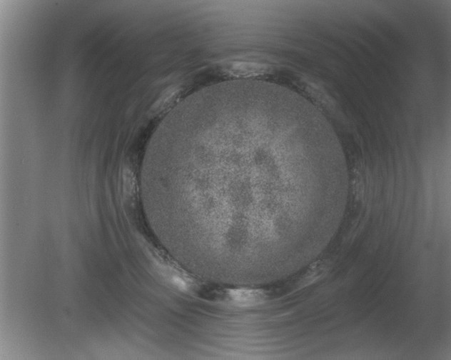 X0000080720371200612221233