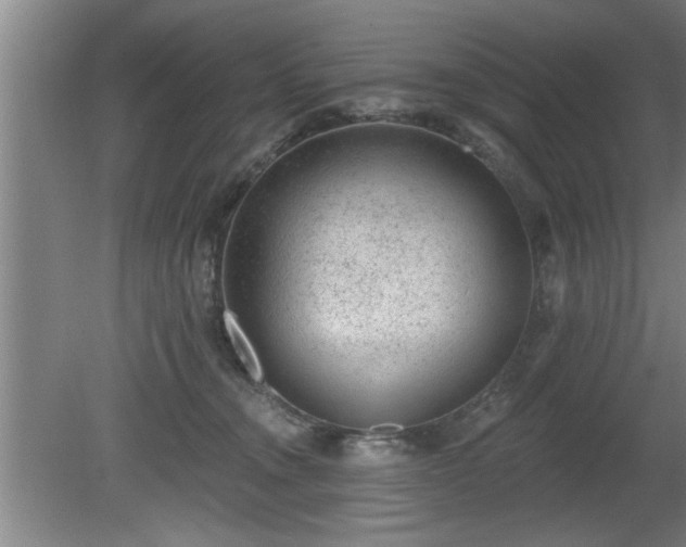 X0000080720372200612221233