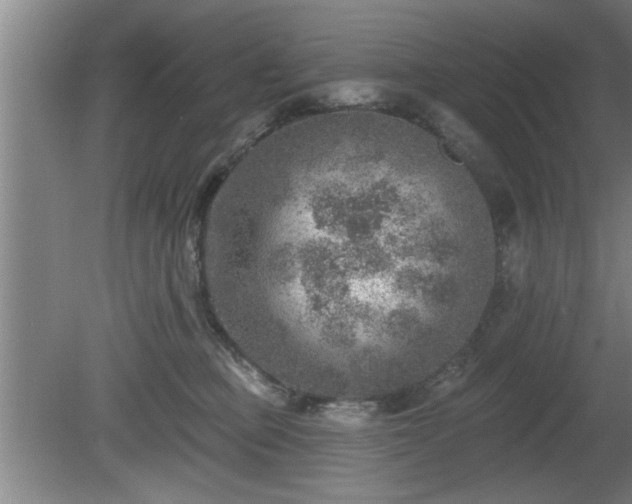 X0000080720373200612221233