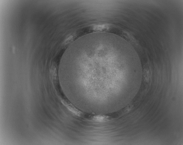 X0000080720375200612221233