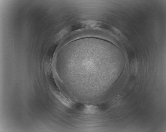 X0000080720376200612221233