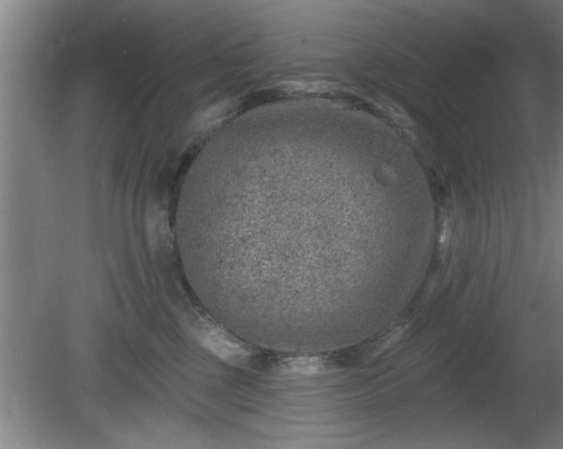 X0000080720377200612221233