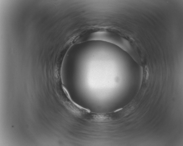 X0000080720380200612221233