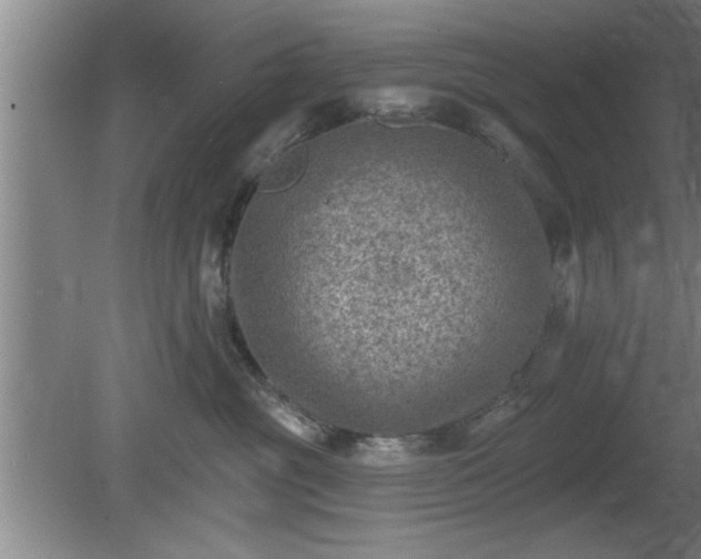 X0000080720381200612221233