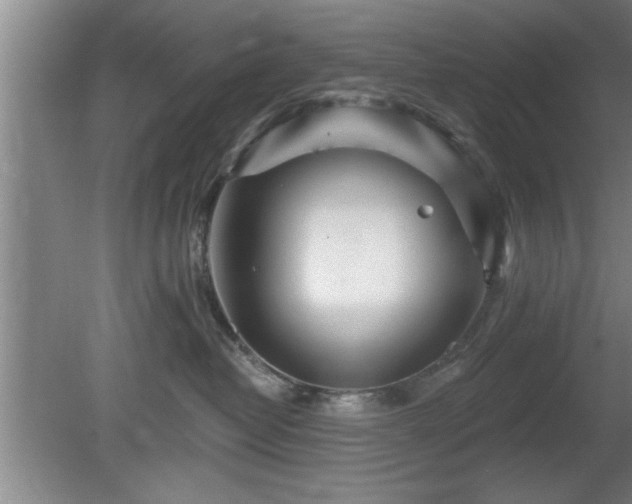 X0000080720382200612221233