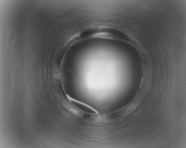 X0000080720384200612221233