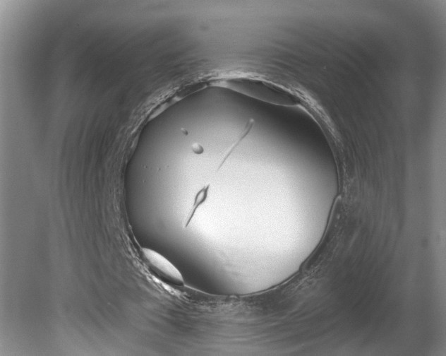 X0000080720385200612221232