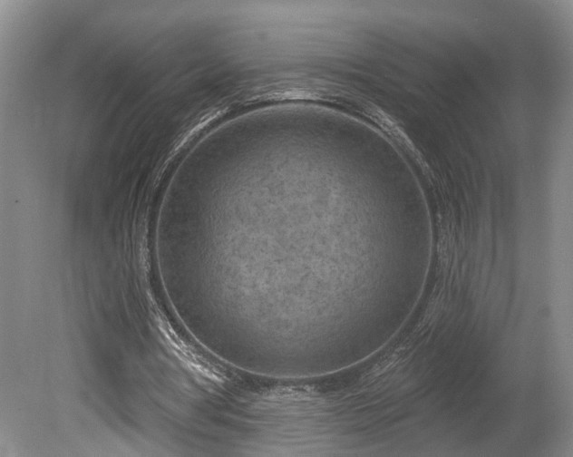 X0000080720386200612221232