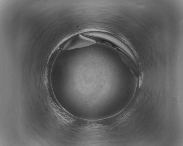 X0000080720387200612221232