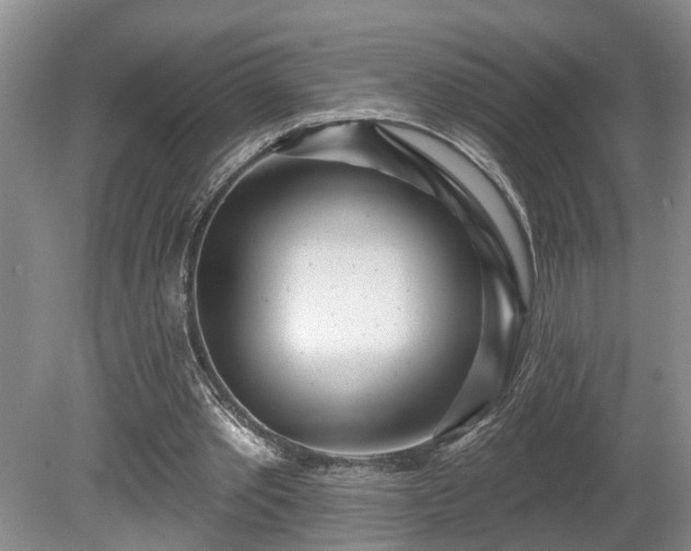 X0000080720389200612221232