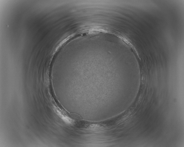 X0000080720390200612221232