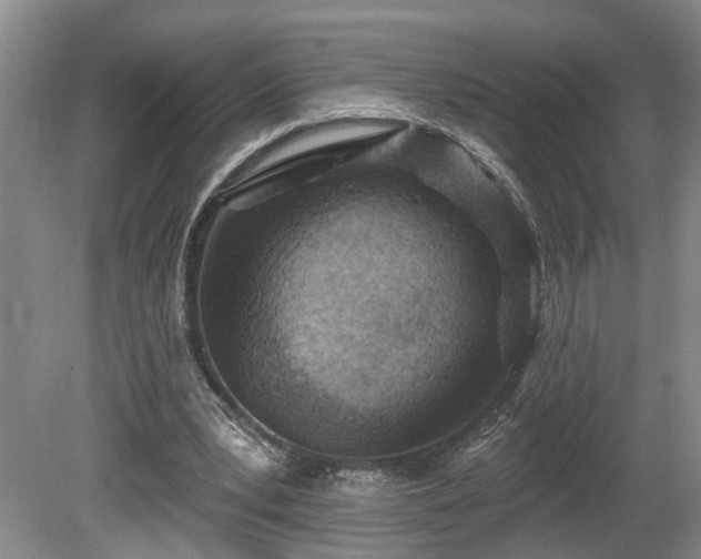 X0000080720391200612221232