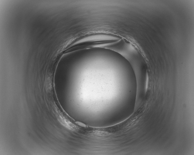 X0000080720393200612221232