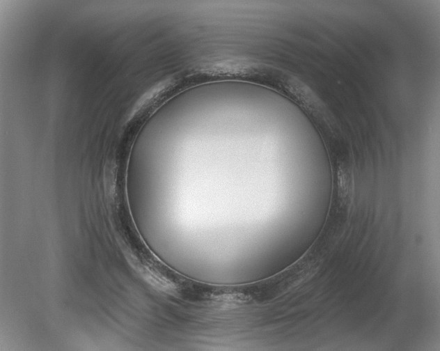 X0000080720396200612221232